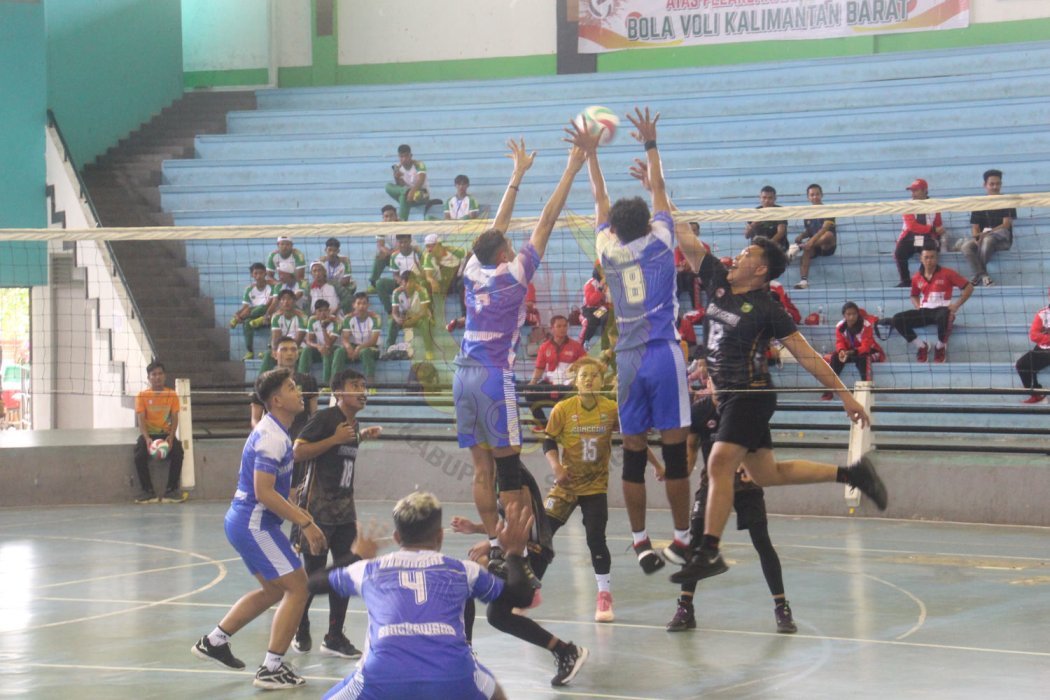 Galeri KONI 6
